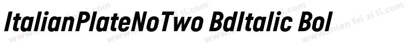 ItalianPlateNoTwo BdItalic Bold It字体转换